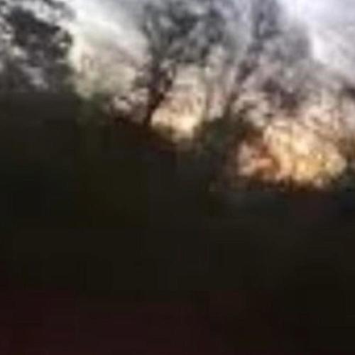 arctic fox (feat. plooto) [Remix] [Explicit]