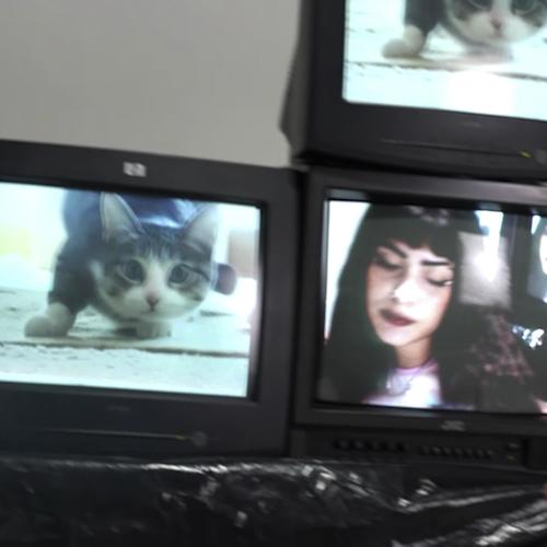 GATA (feat. Tango Torino)