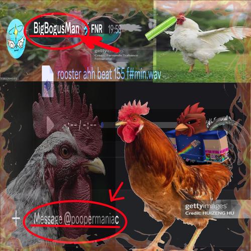rooster ahh beat 155 f#min.wav (feat. BigBogusMan) [Explicit]