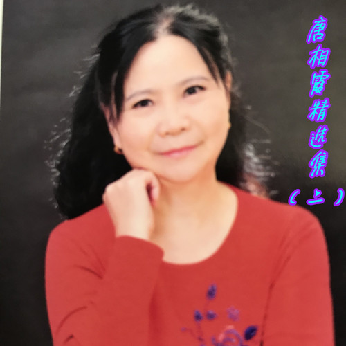 唐相霞精选集（二）