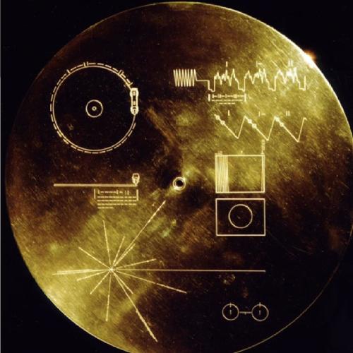 Bloodhound of Florencia (Explicit)