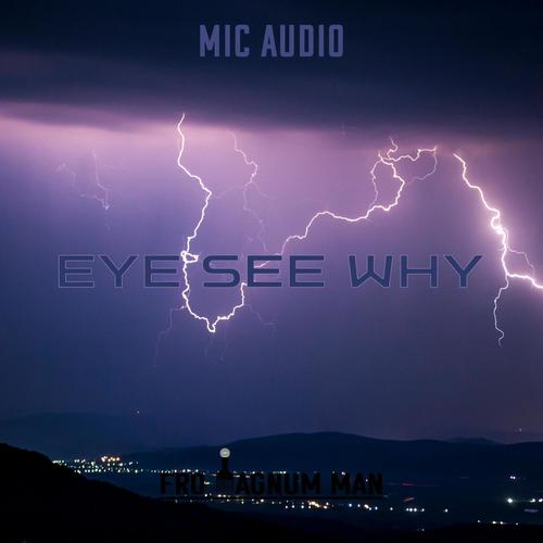 Eye See Why (feat. Mic Audio) [Explicit]