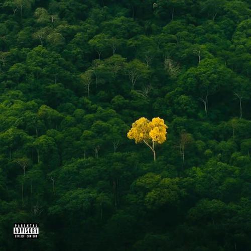 My Sheila (feat. Racks Rsa & RogueKnight808) [Explicit]