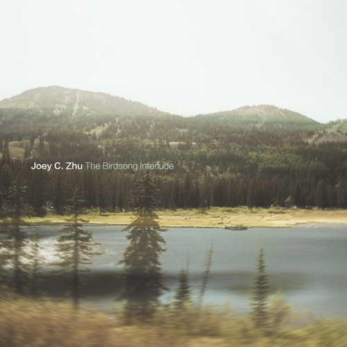 The Birdsong Interlude