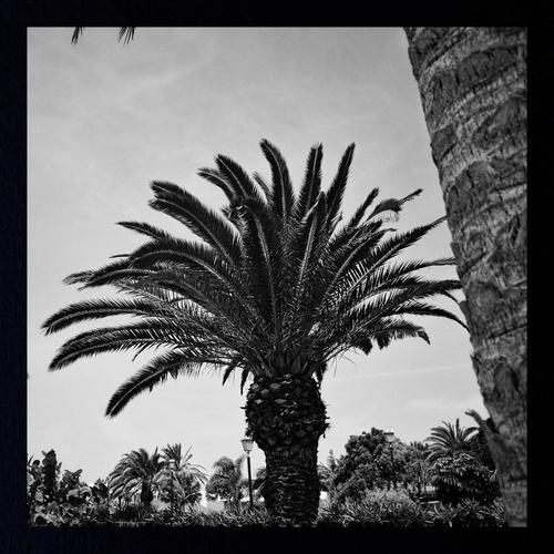 Tudo Que Voce Podia Ser