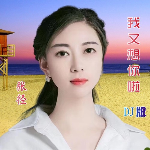 我又想你啦（伟然DJ版）
