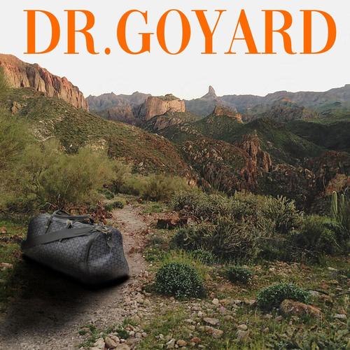 Dr. GoYard (feat. madben) [Explicit]
