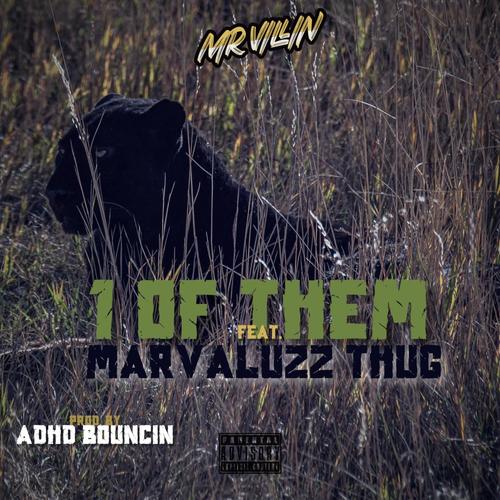 1 Of Them (feat. Marvaluzz Thug) [Explicit]