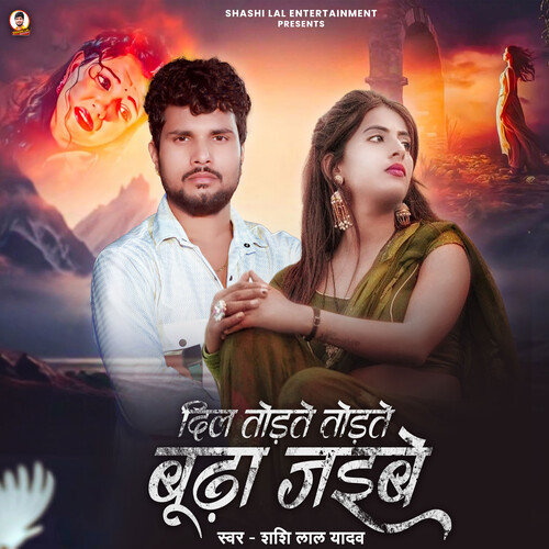 Dil Todate Todate Budha Jaibe