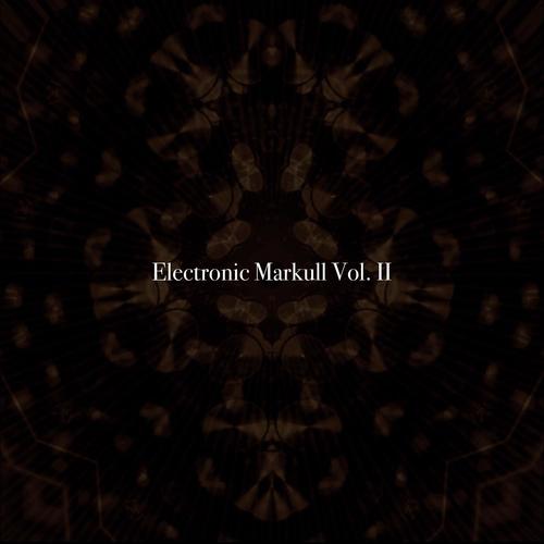 Electronic Markull, Vol. II