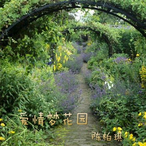 爱情梦花园