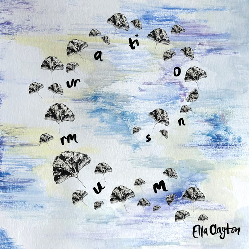 Murmurations (Explicit)