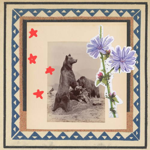 Shimmy Shimmy / This Life