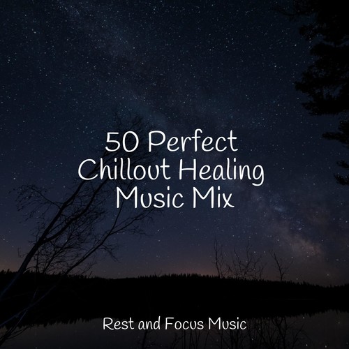50 Perfect Chillout Healing Music Mix
