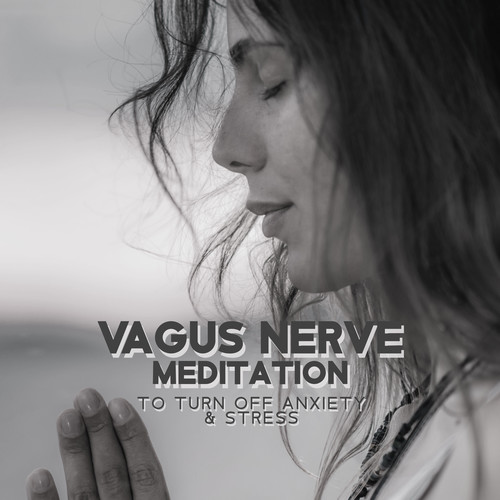 Vagus Nerve Meditation to Turn off Anxiety & Stress