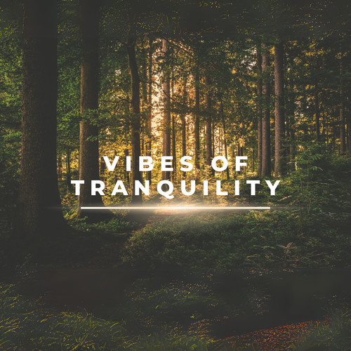 Vibes of tranquility