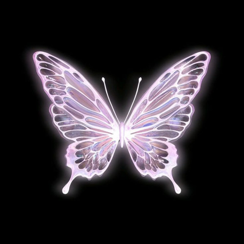 MARIPOSA