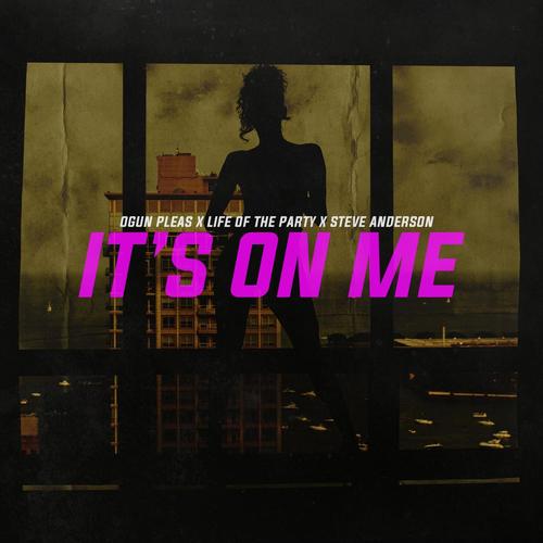 It's On Me (feat. Steve Anderson & Life Of The Party) [Explicit]