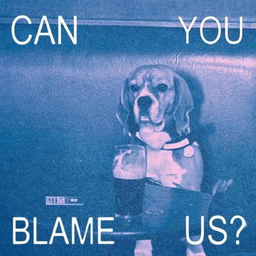 Can You Blame Us?
