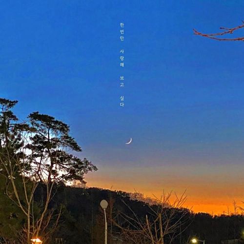 한번만 사랑해 보고 싶다