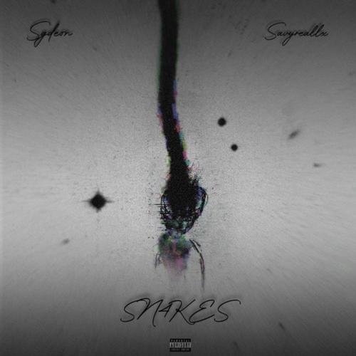 SN4KES (feat. Savyreallx) [Explicit]