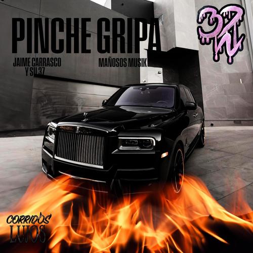 PINCHE GRIPA (Explicit)