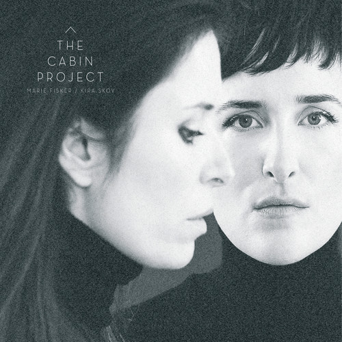 The Cabin Project