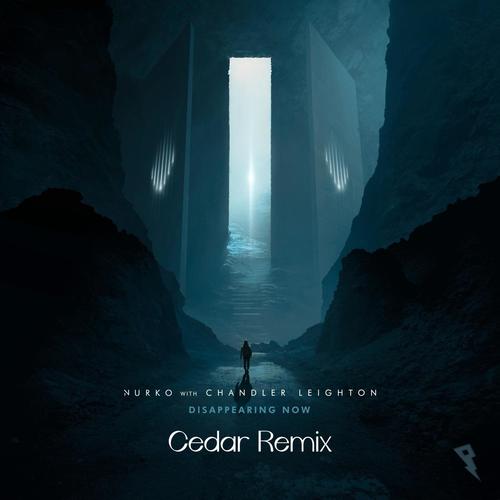 Disappearing Now（cedar张大葱 Remix）