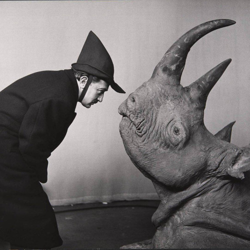 电影里的那颗星星