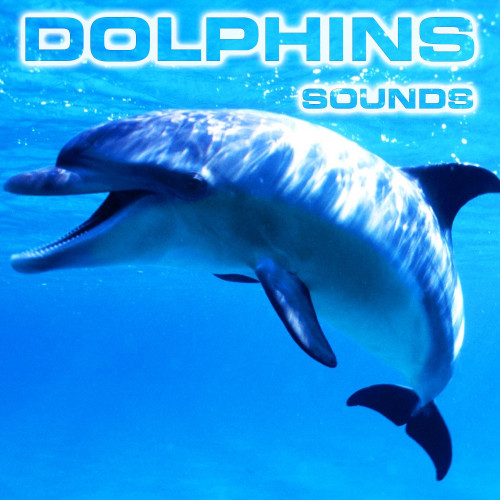 Dolphins Sounds (feat. National Geographic Soundscapes, Soothing Sounds, Soothing Baby Sounds, Relaxing Nature Sound, White Noise Sounds For Sleep & White Noise Ambience)