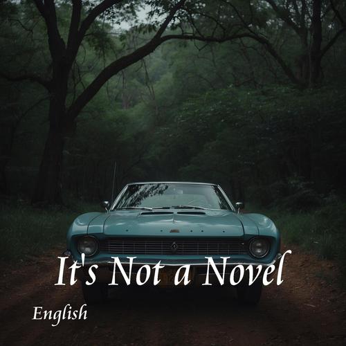 It's Not a Novel