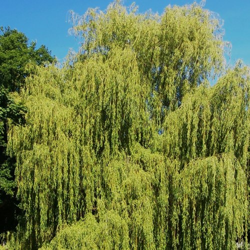 没什么水平的单曲集