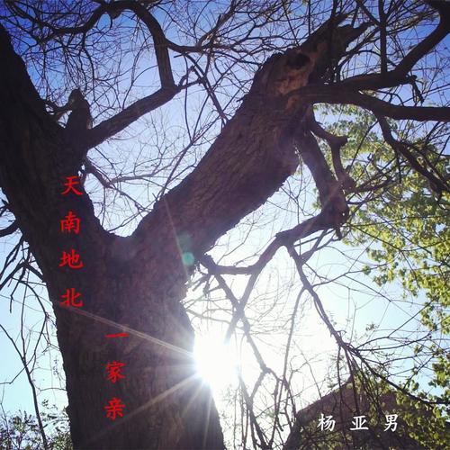 天南地北一家亲 (纪录片《血脉根亲》主题曲）