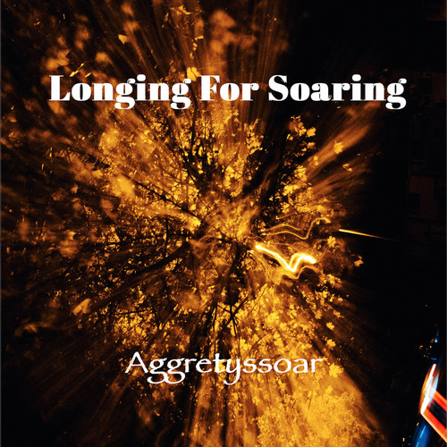 Longing For Soaring