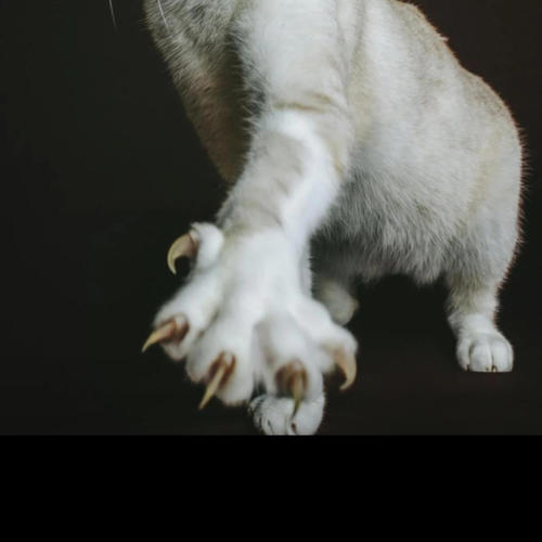 Mommy it's Halloween