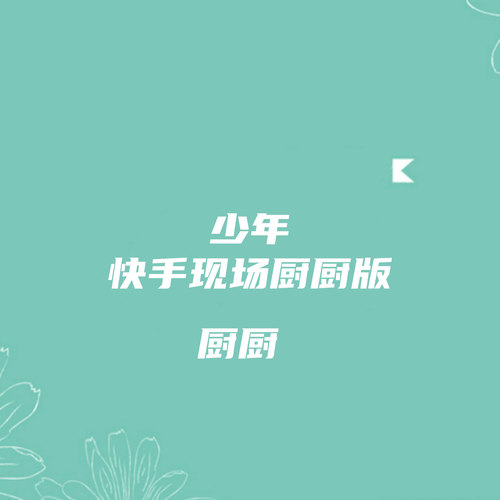 少年（快手现场厨厨版）