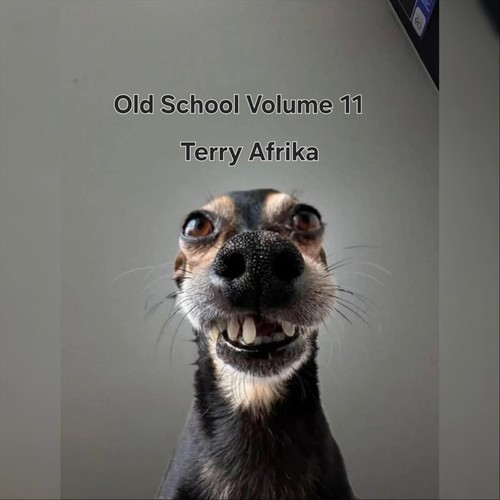 Old School Volume 11