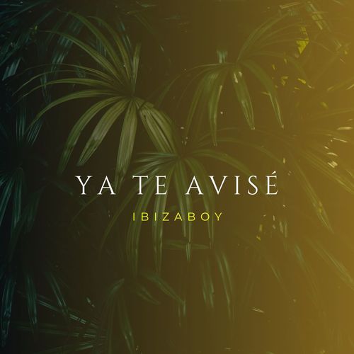 Ya te avisé