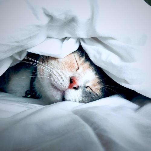 It's Okay to Fall Asleep (feat. Felipe Paccagnella)