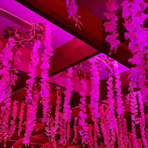 Evident (feat. Gray10k) [Explicit]