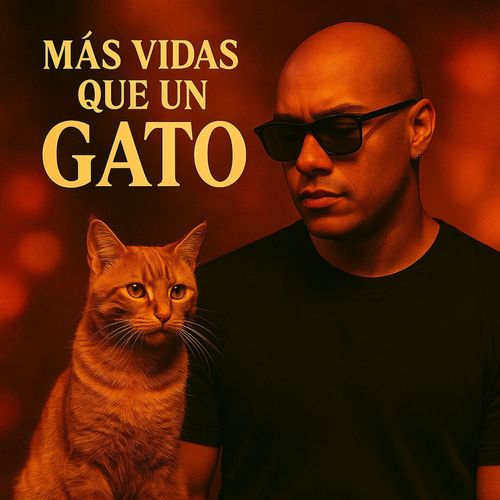 Más vidas que un gato