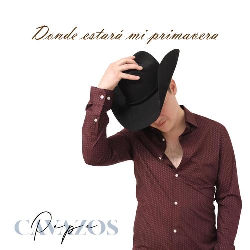 Donde estará mi primavera (Con Mariachi)