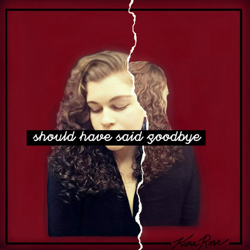 Should Have Said Goodbye