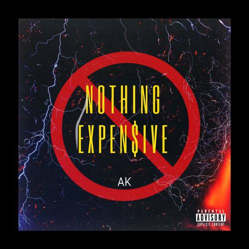 Nothing Expensive