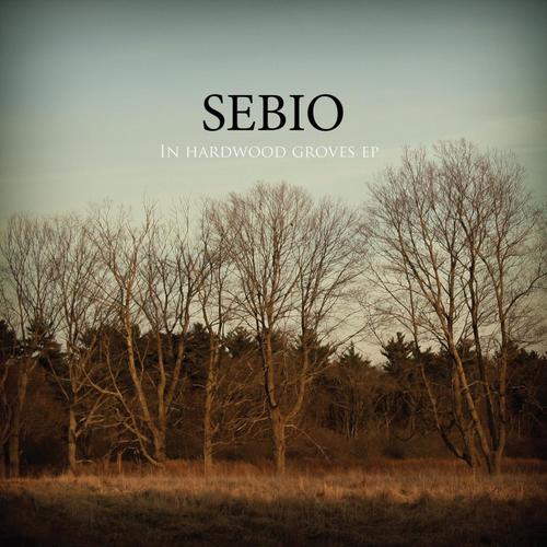 In Hardwood Groves EP