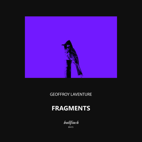 Fragments