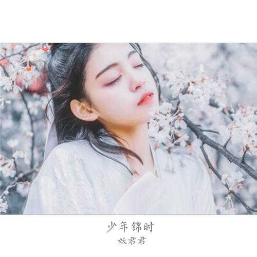 少年锦时