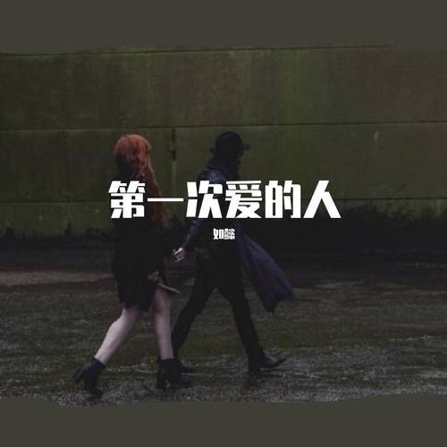 第一次爱的人