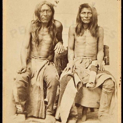 iyïrinusrry if the noose fits wear it