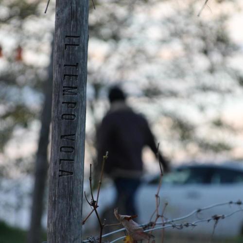 Il tempo vola (Explicit)